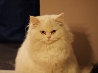 PC310046.jpg