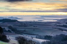 Blick in Hegau Nebel.JPG