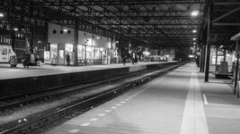 P4080199-1.jpg