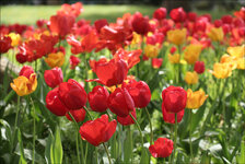 IMG_1107_DSLR.jpg