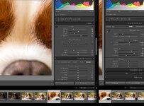 Lightroom.jpg