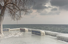 Romanshorn-Bodensee_L7B9119.jpg