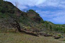 DSCF2781.jpg