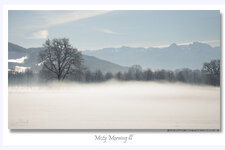 Misty Morning3.jpg