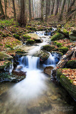 AUST7343.jpg AUST7343.jpg