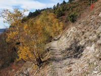 Horizontale in Jena2.jpg