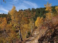 Horizontale in Jena3.jpg