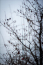 Winterspaziergang 026.jpg