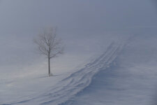 the-cold-way-a9225631-c0d5-441a-98b9-04f8de9d0e95.jpg