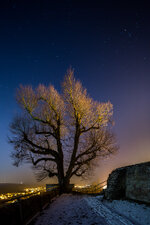 Burg Steinsberg, Sinsheim-Weiler_0644-1.jpg