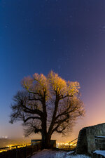 Burg Steinsberg, Sinsheim-Weiler_0647-1.jpg
