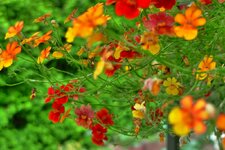 2010-07-11_16h50m22s.jpg