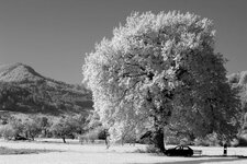 Biberach-1-IR-Graustufen-1200.jpg