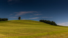 20140810-Schwarzenbach Heuriger.jpg