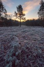 HL5_0572-1.jpg
