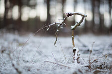 IMG_7191_orginal.jpg