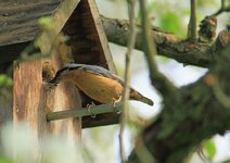 compIMG_0997.jpg