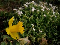 2013_04_14_034.jpg