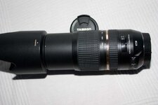 IMG_2919.jpg
