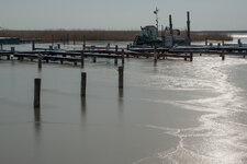 Am Neusiedlersee.jpg