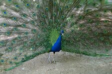 2011-05-08_14h45m14s.jpg