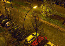 CRW_8148.jpg