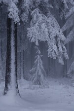IMG_0504.JPG