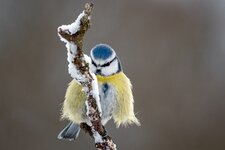 compIMG_2564-Bearbeitet.jpg