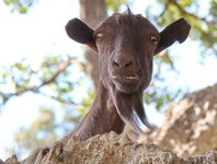 IMG_8931 - Kopie.JPG