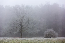 HL5_7045-1.jpg