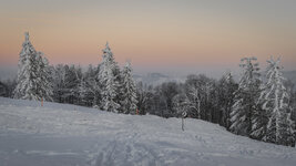 _P151720-1.jpg