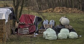 comp_scimmery baustelle.jpg