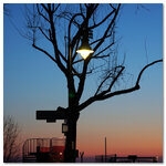 Bln-Neukln16_2012.jpg