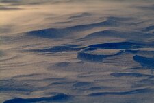 DSCF4049.jpg