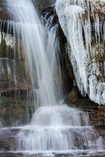 IMG_2466-1.jpg