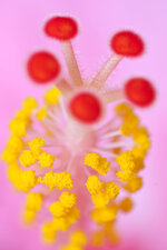 20120327-IMGP2849.jpg
