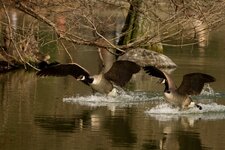IMG_8777.jpg