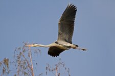 IMG_8784.jpg