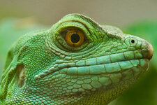 20111101-DSC00908.jpg