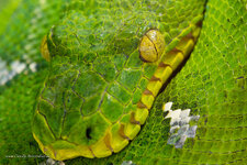20111101-DSC01118-2.jpg
