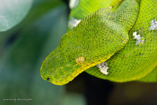 20111101-DSC01121.jpg
