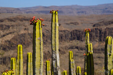 Gran Canaria_2012-07-03_346-web.jpg