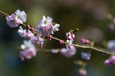 comp_Bild-025.jpg