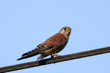 IMGL4279 (91 von 1).jpg IMGL4279 (91 von 1).jpg