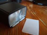 P2130242_1.JPG