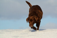 DSC_0846_1200_VR30_110.jpg DSC_0846_1200_VR30_110.jpg