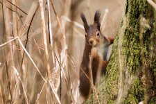 compIMG_4886.jpg