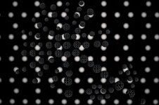 E10A0680-1.jpg