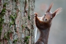 compIMG_4936-Bearbeitet.jpg