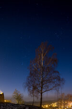 HL5_0679-1.jpg